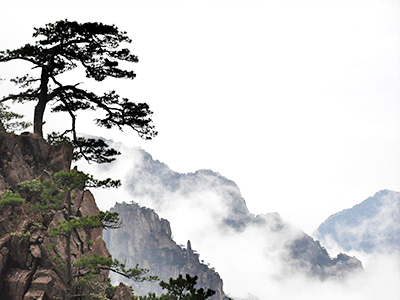 魅力大阪．環球影城道頓堀和食名店