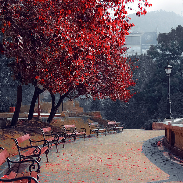 秋日德意志夢幻古堡．奧地利繽紛小鎮之旅