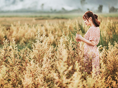 秋意秘境網美步道