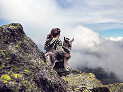 寵物同樂．寵物親子樂園．青青草原1日