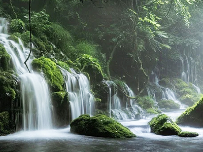 京都浪漫．千年古都懷石料理