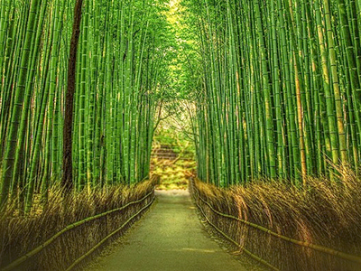 京都浪漫．千年古都懷石料理