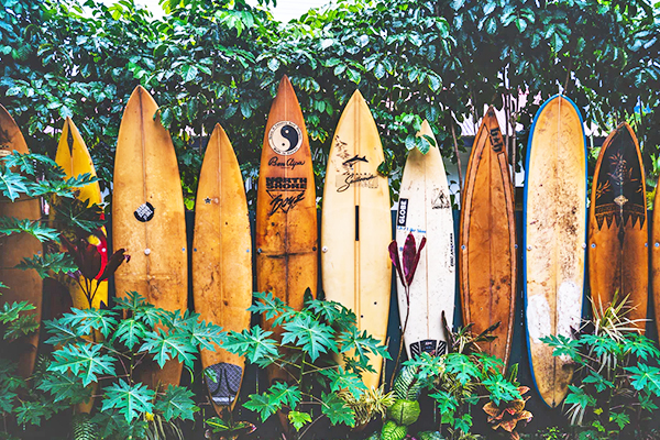 夏威夷FUN輕鬆．侏儸紀公園．愛之船．珍珠港