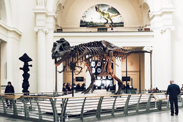 德州休士頓全覽．NASA．牛仔．水都