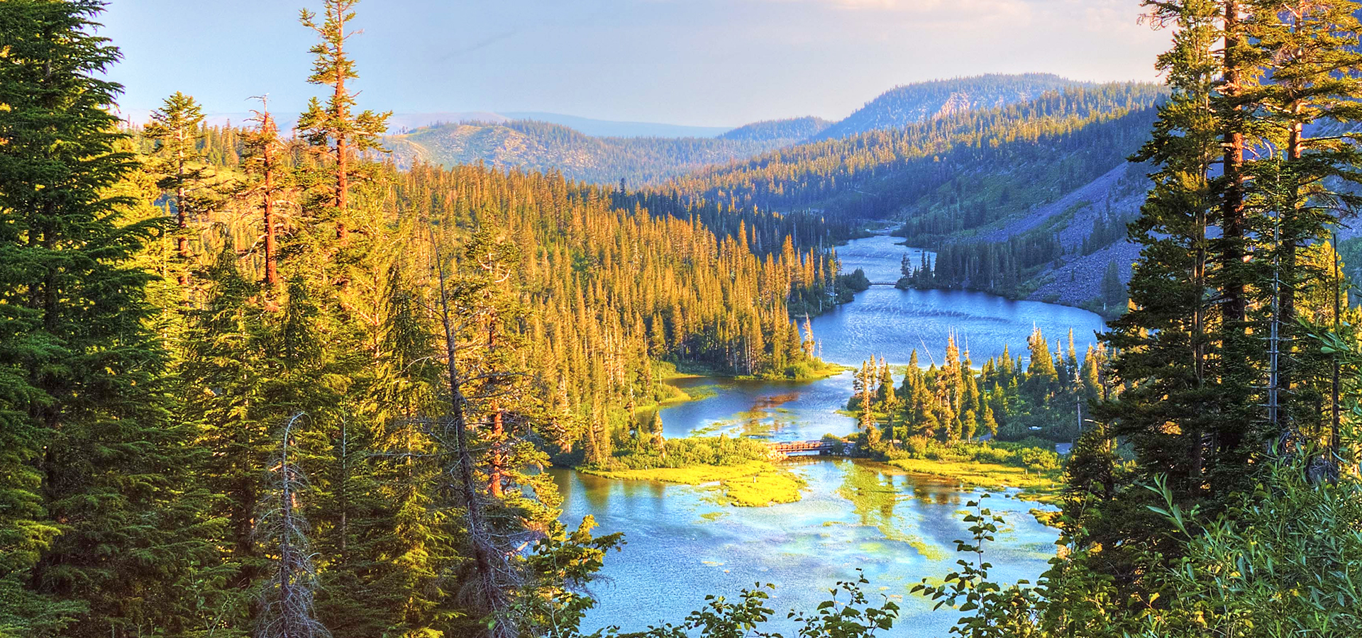 杉樹林陰．秘境健行